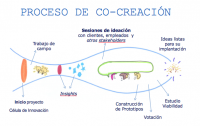 ¿Por qué utilizar la co-creación?